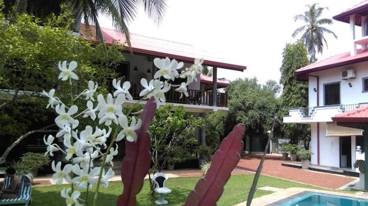 Canal Villa Bentota Exterior foto