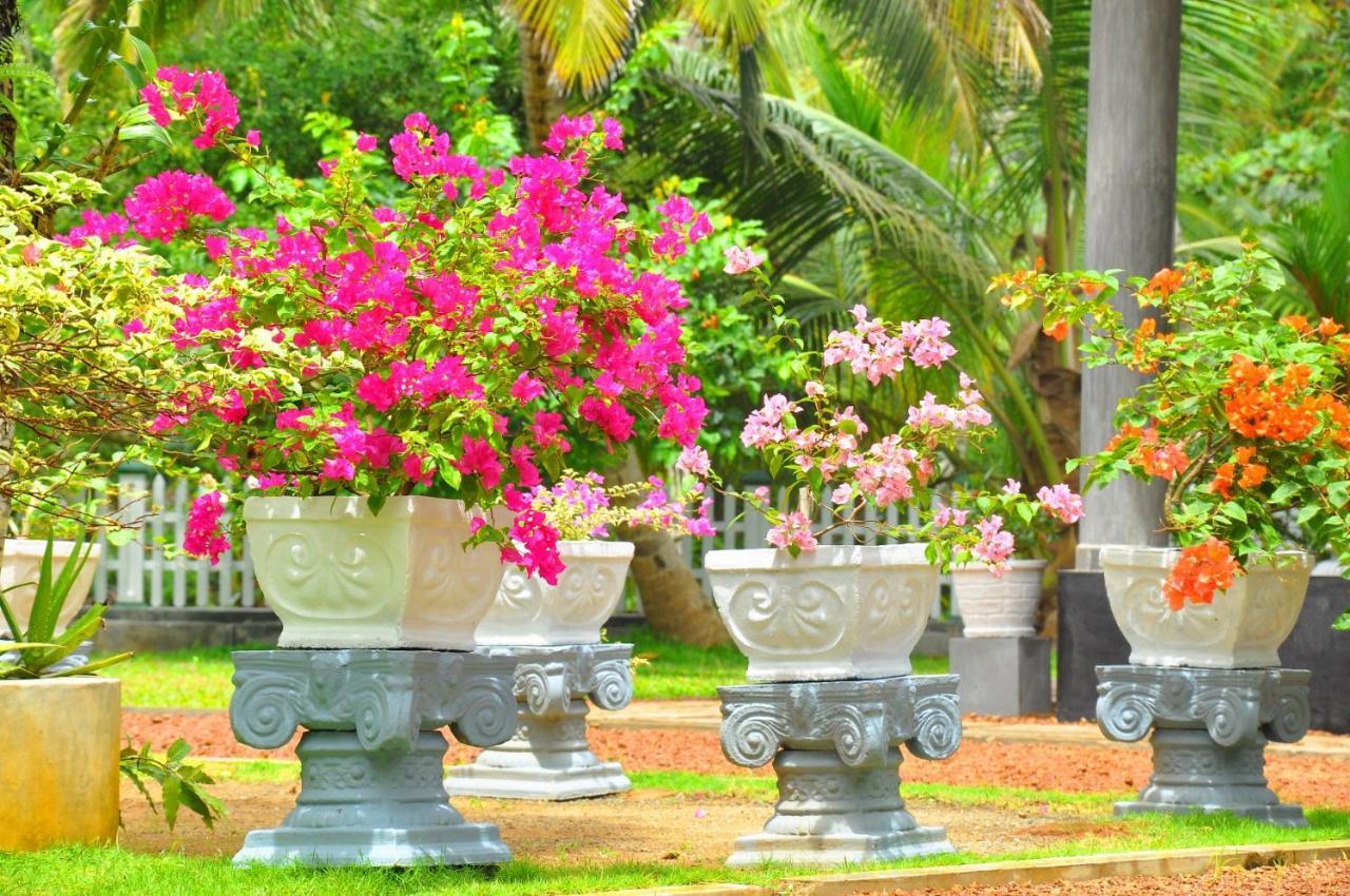 Canal Villa Bentota Exterior foto